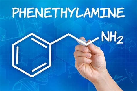 beta phenyl ethyl amine|PHENETHYLAMINE (PEA): Overview, Uses, Side Effects, .